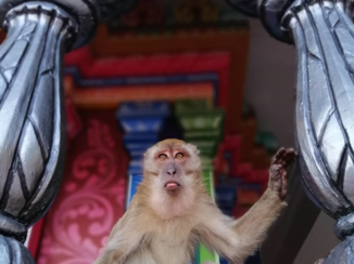 Maleisië - Temples in Kuala Lumpur