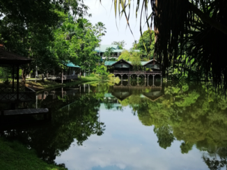 Maleisië - Rainforest Discovery Centre