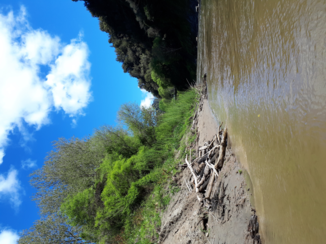 Travel Essence - Whanganui River