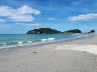 Travel Essence - Moturiki Island Reserve