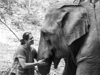 Chiang Mai - Elephant Sanctuary