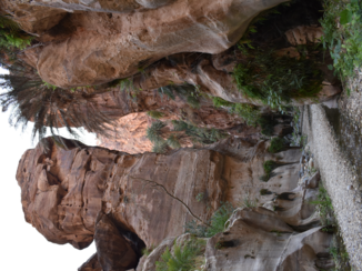 Jordanië - Wadi ghuweir