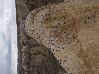 Cappadocië - Pigeon valley