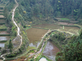 China - China de rijstvelden