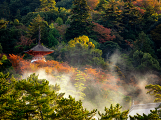 Japan - Tempel op Miyajima eiland