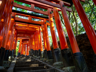 Japan - Fushimi Inari-taisha tempelgebied in Kyoto