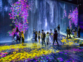 Japan - TeamLab Borderless tentoonstelling in Tokio