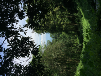 Sri Lanka - Rakwana natuur