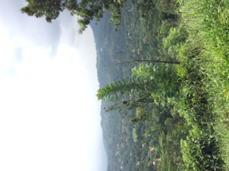 Sri Lanka - Uitzicht in Rakwana bij Sinharaja Forest