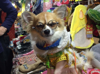 Hong Kong - Nightmarket