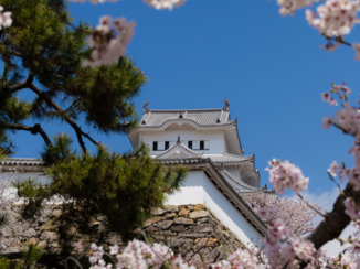Japan - Kasteel Himeiji