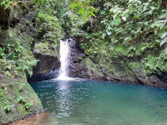 Local Hero Travel - Corcovado